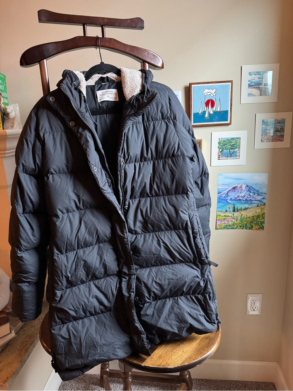 Campwell Down Parka (REI- Co-op)